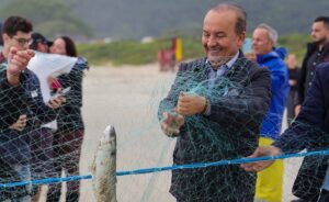 Com a participação do governador do Estado, lanço na praia da Barra da Lagoa captura milhares de tainhas